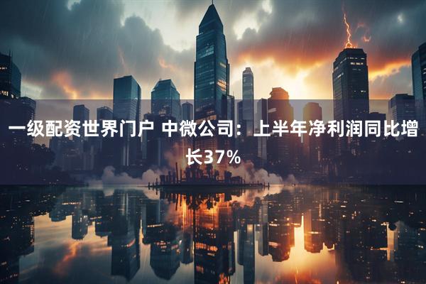 一级配资世界门户 中微公司：上半年净利润同比增长37%
