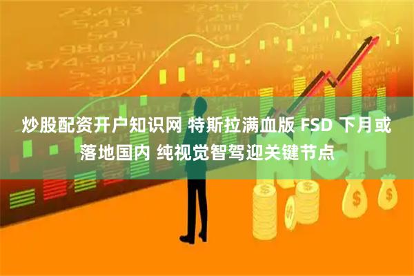 炒股配资开户知识网 特斯拉满血版 FSD 下月或落地国内 纯视觉智驾迎关键节点